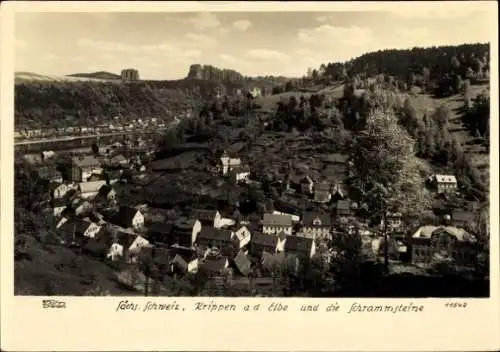 Ak Krippen Bad Schandau Sächsische Schweiz, Schrammsteine, Elbe