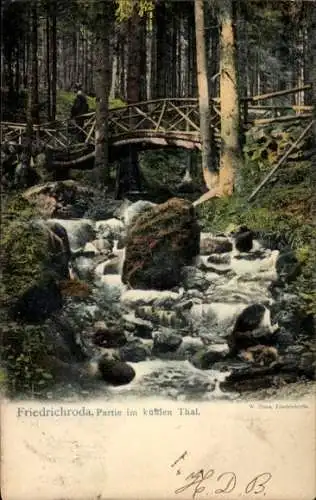 Ak Friedrichroda im Thüringer Wald, Brücke, Wasserfall, Wald, Grün, Postkarte