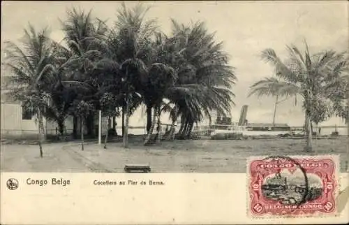 Ak Belgisch Kongo Demokratische Republik Kongo Zaire, Kokospalmen