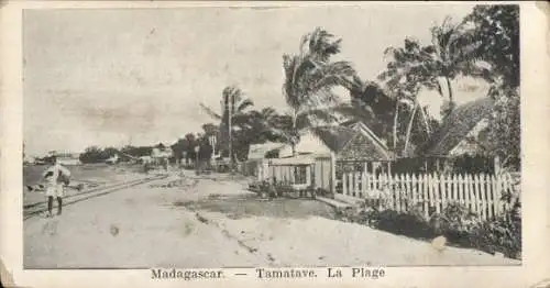 Ak Toamasina Tamatave Madagaskar, Strandansicht, palmengesäumte Küste, Häuserreihe