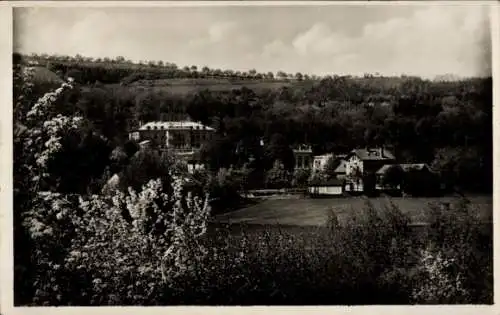 Ak Bílina Bilin Region Aussig, Sauerbrunn, Gesamtansicht