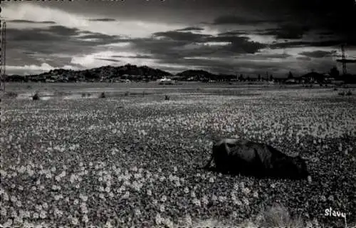 Ak Antananarivo Tananarive Madagaskar, Panorama
