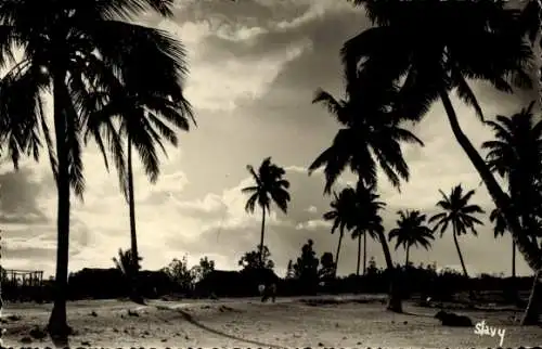 Ak Madagaskar Madagascar, Palmen, Strand, Wolken, ruhige Landschaft, menschenleer, sepia-Ton