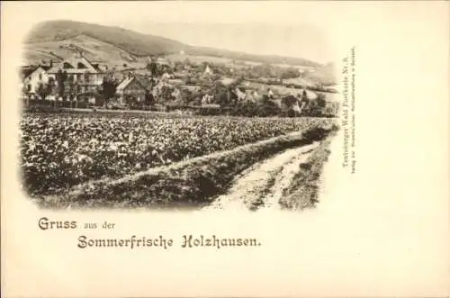 Ak Holzhausen Externsteine Horn Bad Meinberg am Teutoburger Wald,  ländliche Landschaft