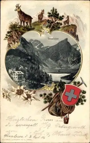 Passepartout Litho Halbkanton Appenzell Innerrhoden, Seealpsee, Panorama, Bergziegen, Edelweiß