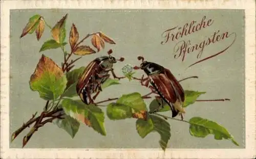 Präge Ak Glückwunsch Pfingsten, Maikäfer, Laubblätter