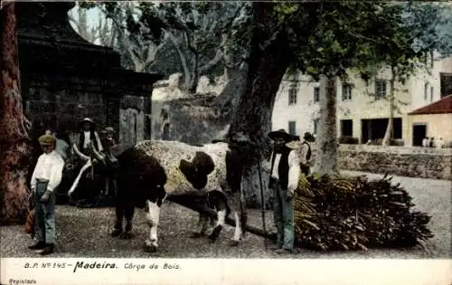 Ak Madeira Portugal, Corca de Bois, Ochse, Holz