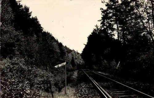 Foto Ak Bad Arolsen in Hessen, Bahnschienen, Wald