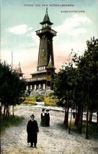 Ak Berlin Köpenick, Aussichtsturm, Müggelberge