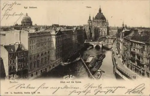 Ak Berlin Mitte, Schloss, Dom, Spree