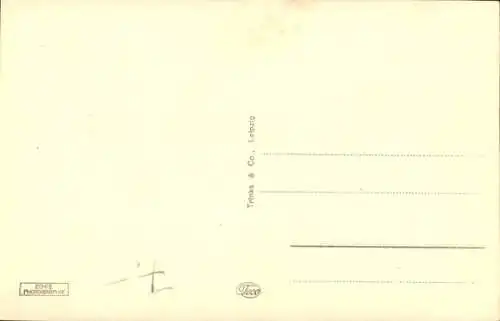 Ak Höxter an der Weser, Westerbachstraße, Goldener-Quelle