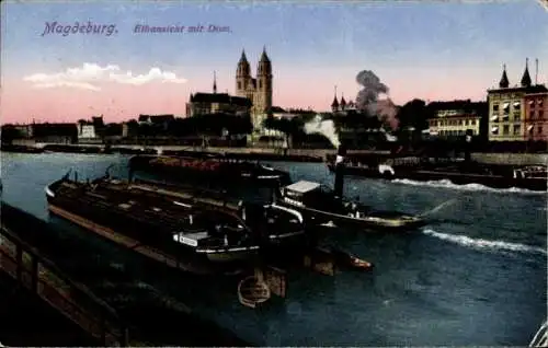 Ak Magdeburg an der Elbe,  Elbansicht mit Dom.