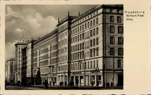 Ak Magdeburg an der Elbe, Wilhelm Pieck Allee
