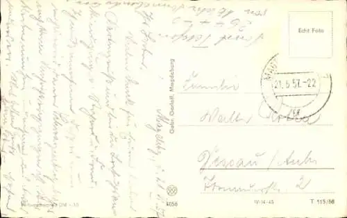 Ak Magdeburg an der Elbe, Wilhelm Pieck Allee