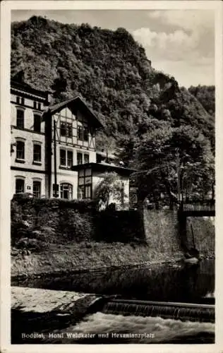 Ak Thale im Harz, Bodetal,  Hotel Waldkater, Hexentanzplatz, Fluss, Berghang
