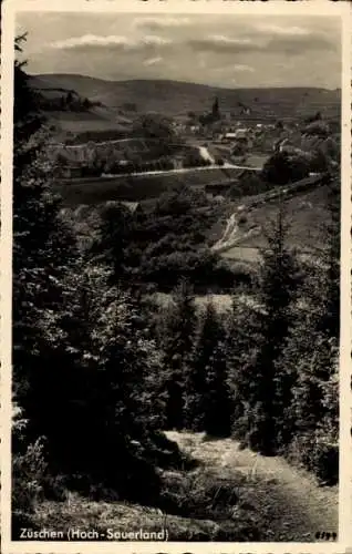 Ak Züschen Winterberg im Sauerland, Berglandschaftt