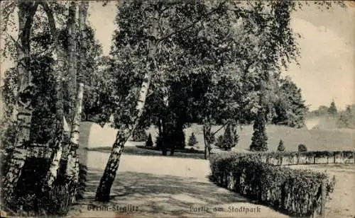 Ak Berlin Steglitz, Stadtpark