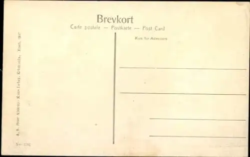 Ak Telemarken Norwegen, Haukelid