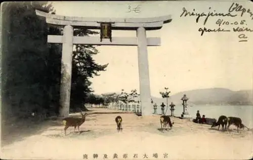 Ak Insel Miyajima Hatsukaichi Präfektur Hiroshima Japan, Torii Tor, Rehe, Küste, Bäume, Lampen