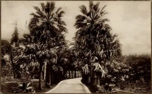 Ak Lisboa Lissabon Portugal, Jardim Botanico, Botanischer Garten