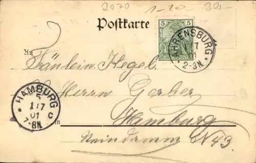 Ak Ahrensburg in Holstein, Grosse Straße, Teich