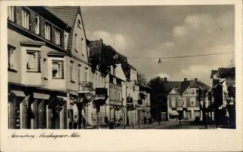 Ak Ahrensburg in Holstein, Manhagener Allee