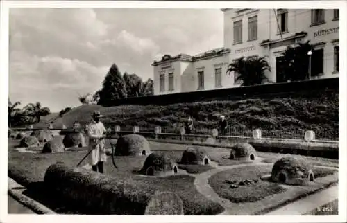 Ak São Paulo Brasilien, Serpentario do Butantan