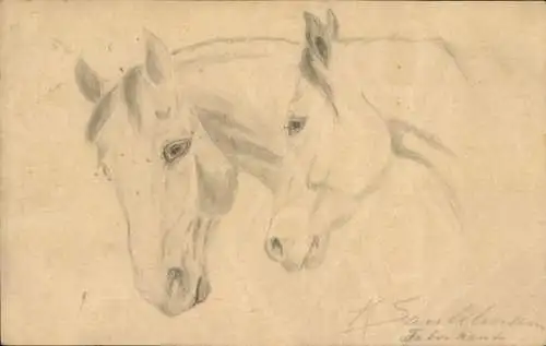 Künstler Ak Santelmann, Pferde, Tierportrait, Zeichnung