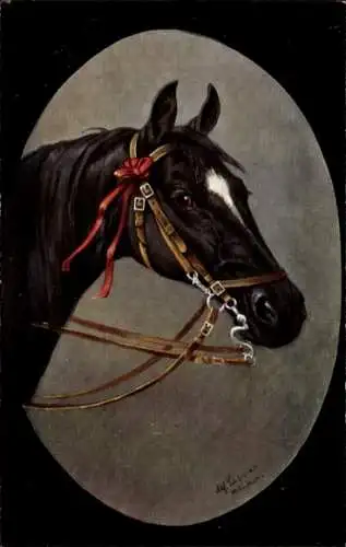 Künstler Ak Schwarzes Pferd, Zaumzeug, Kopfstudie