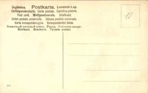 Ak Zwei braune Pferde, Welpen, Hunde