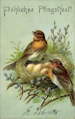 Präge Ak Glückwunsch Pfingsten, Vögel im Nest, Weidenkätzchen