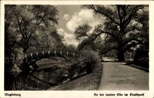 Ak Magdeburg an der Elbe,  An der tauben Elbe im Stadtpark