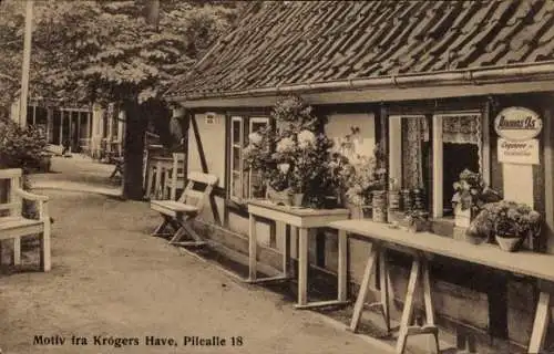 Ak Kopenhagen, Frederiksberg, Krógers Have, Pilealle 18, Ananas Is