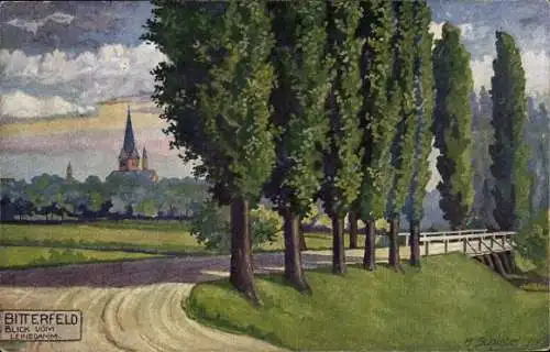 Künstler Ak Schiebel, H., Bitterfeld in Sachsen Anhalt, Blick vom Leinedamm