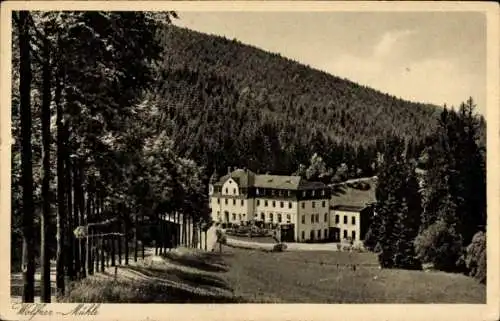 Ak Raschau Markersbach, Ferienheim Wolfner Mühle, Wald