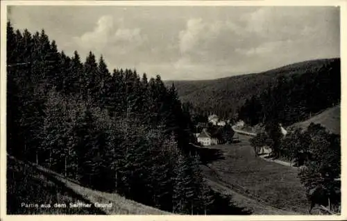 Ak Rabenau im Erzgebirge, Rabenauer Grund, Landschaft mit Wäldern, Tal und Gebäuden, Text: Par...