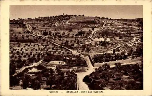 Ak Jerusalem Israel, Mont des Oliviers
