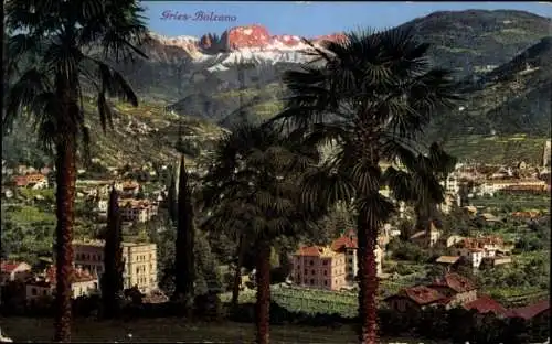 Ak Bozen Bolzano Südtirol, Panoramablick auf  umgeben von Palmen, Berge im Hintergrund