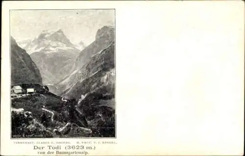 Ak Kanton Glarus Schweiz, Der Tödi von der Baumgartenalp