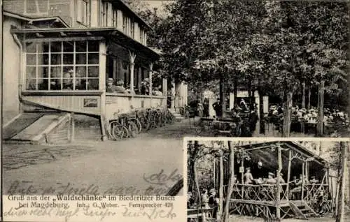 Ak Magdeburg an der Elbe,  mit dem Biederitzer Busch, Waldschänke, Radfahrer, Leute auf der Terra