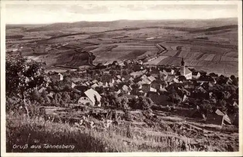 Ak Tännesberg in der Oberpfalz, Panorama