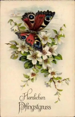 Ak Glückwunsch Pfingsten, Blumen, Schmetterling