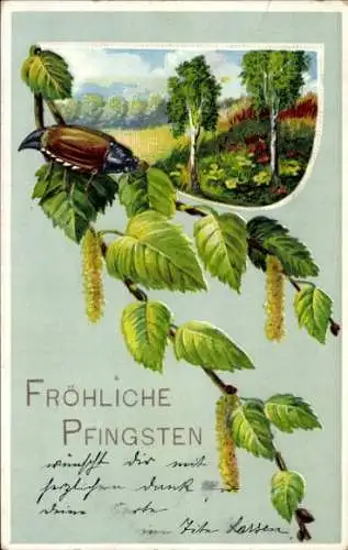 Präge Ak Glückwunsch Maikäfer, Laubblätter, Birken