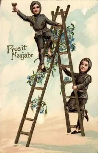 Ak Glückwunsch Neujahr, Schornsteinfeger, Leiter, Blumen