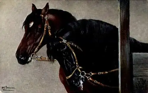 Künstler Ak Schönian, Alfred, Zwei Schwarze Pferde im Stall, Zaumzeug