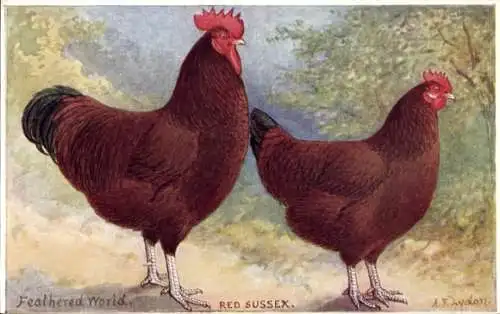 Künstler PC Lydon, A. F., Red Sussex
