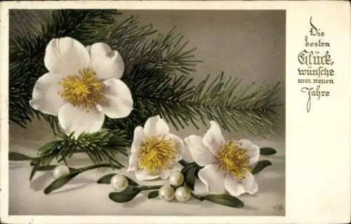 Ak Fröhliches Neujahr, Tannenzweig, Christrosen, Mistelzweig