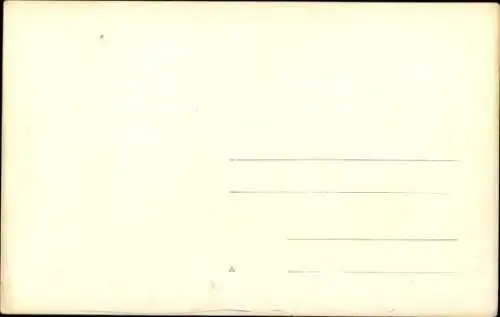 Künstler Ak De Wildt, W. F, Koning