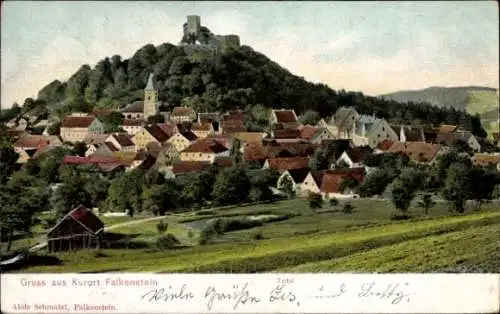 Ak Falkenstein in der Oberpfalz, Burg Falkenstein, Totalansicht