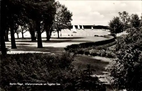 Ak Berlin Reinickendorf Tegel, Uferpromenade, Tegeler See